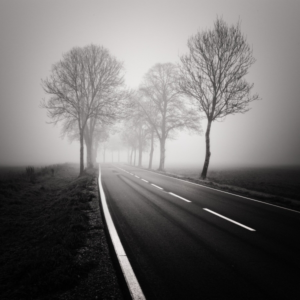Photograph Uwe Langmann November Road Ii on One Eyeland